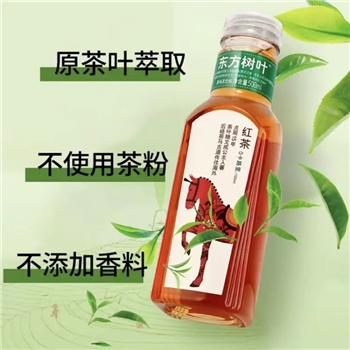 东方树叶多种口味可选 500ml*15瓶