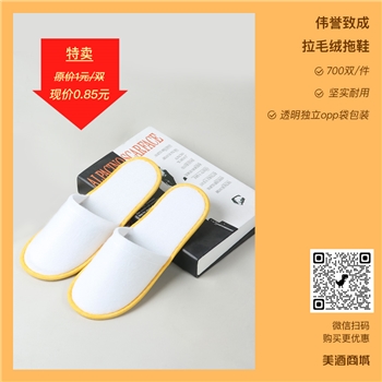 【现货】伟誉致成拉毛绒拖鞋 现货专拍 500双/件